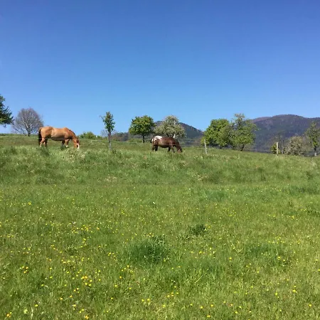 Leonline Sur Les Hauteurs De -au Pied Des Vosges Apartment *