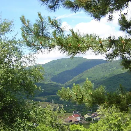 Leonline Sur Les Hauteurs De -au Pied Des Vosges * Masevaux-Niederbruck