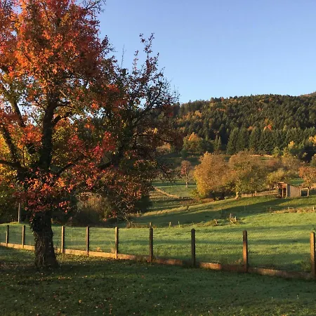 Leonline Sur Les Hauteurs De -au Pied Des Vosges