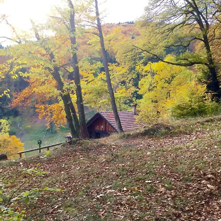 Leonline Sur Les Hauteurs De -au Pied Des Vosges *