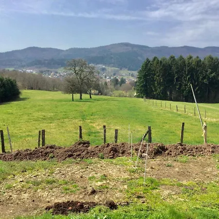 Apartment Leonline Sur Les Hauteurs De -au Pied Des Vosges *