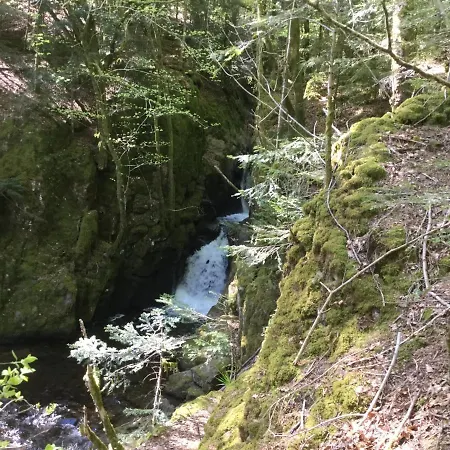 Apartment Leonline Sur Les Hauteurs De -au Pied Des Vosges