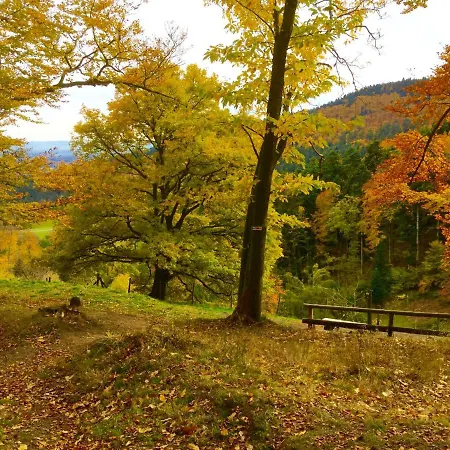 Apartmán Leonline Sur Les Hauteurs De -au Pied Des Vosges *