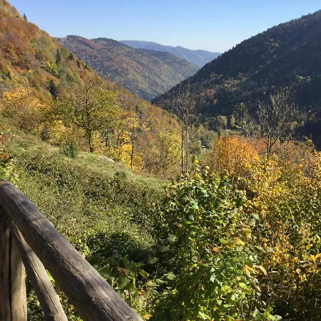 Leonline Sur Les Hauteurs De -au Pied Des Vosges *