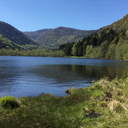 Leonline Sur Les Hauteurs De -au Pied Des Vosges Apartmán