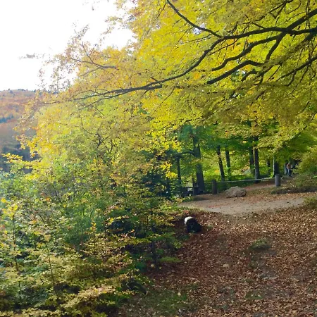 アパート Leonline Sur Les Hauteurs De -au Pied Des Vosges *