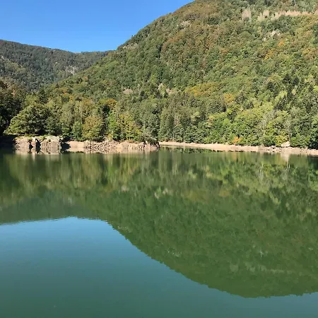 アパート Leonline Sur Les Hauteurs De -au Pied Des Vosges *