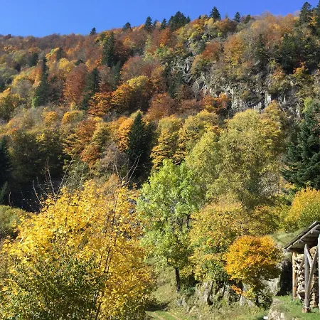 Leonline Sur Les Hauteurs De -au Pied Des Vosges *