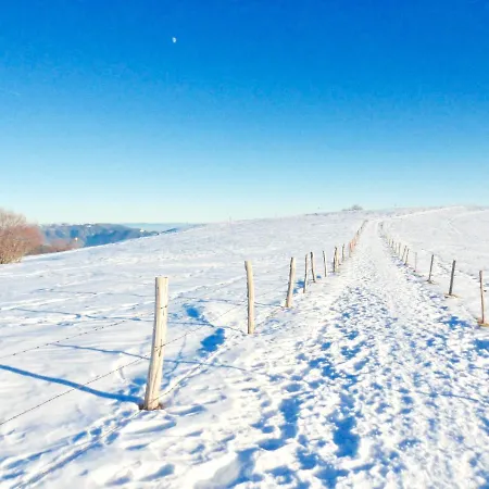 Leonline Sur Les Hauteurs De -au Pied Des Vosges Apartamento *