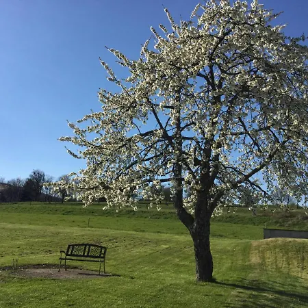 Apartment Leonline Sur Les Hauteurs De -au Pied Des Vosges *
