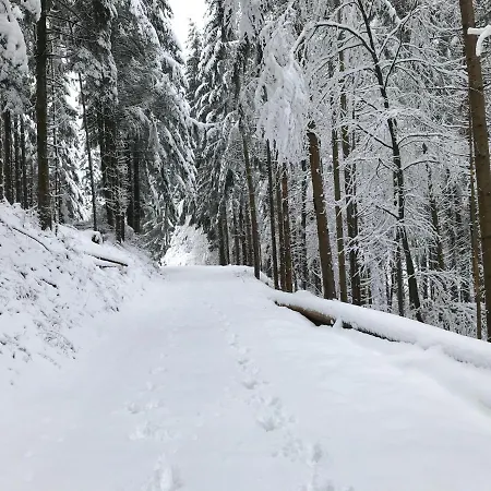 Leonline Sur Les Hauteurs De -au Pied Des Vosges