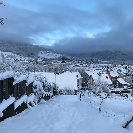 Leonline Sur Les Hauteurs De -au Pied Des Vosges アパート Masevaux-Niederbruck