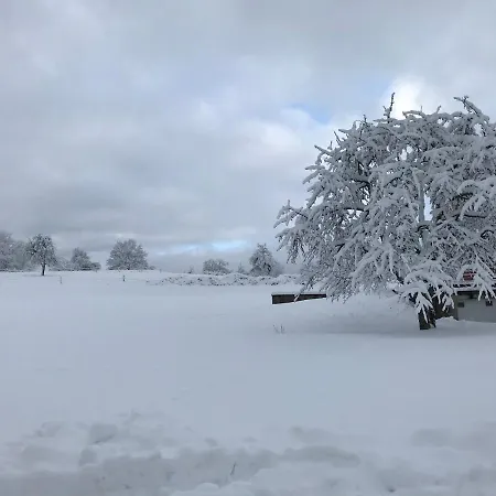 Leonline Sur Les Hauteurs De -au Pied Des Vosges * Masevaux-Niederbruck