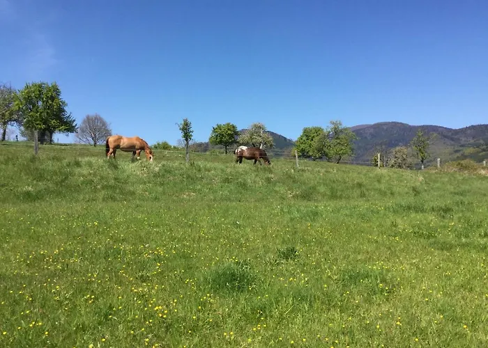 Leonline Sur Les Hauteurs De -au Pied Des Vosges Apartmán *