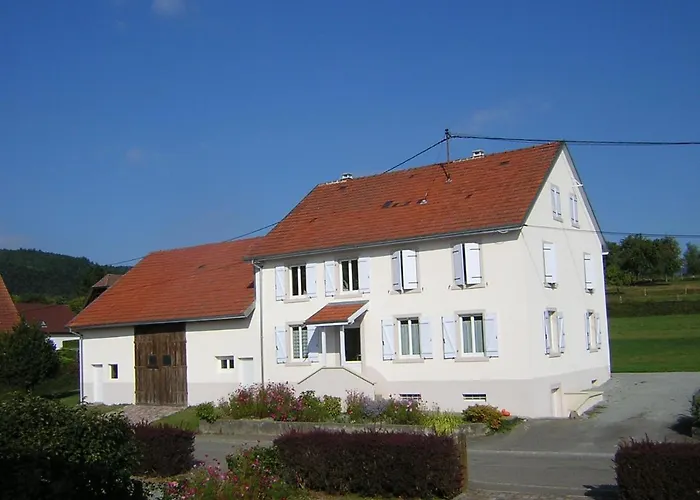 Leonline Sur Les Hauteurs De -au Pied Des Vosges Apartment *