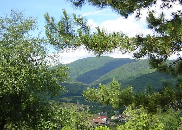 Leonline Sur Les Hauteurs De -au Pied Des Vosges * Masevaux-Niederbruck