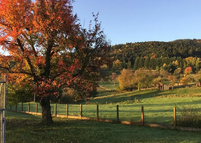 Leonline Sur Les Hauteurs De -au Pied Des Vosges