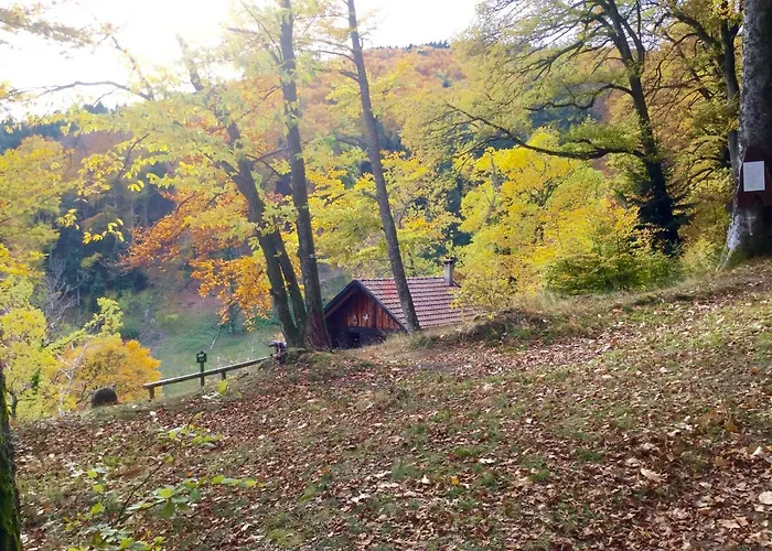 Leonline Sur Les Hauteurs De -au Pied Des Vosges *
