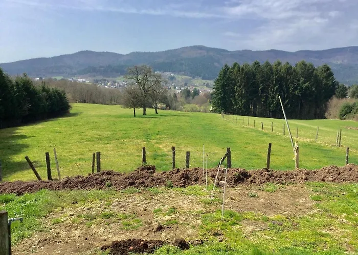 Apartment Leonline Sur Les Hauteurs De -au Pied Des Vosges *