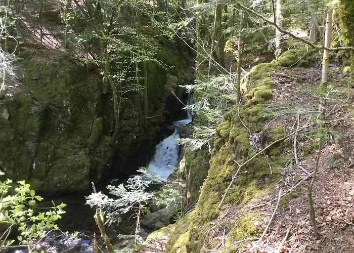 Apartment Leonline Sur Les Hauteurs De -au Pied Des Vosges