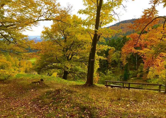 Apartment Leonline Sur Les Hauteurs De -au Pied Des Vosges *