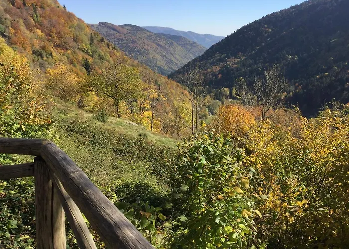 Leonline Sur Les Hauteurs De -au Pied Des Vosges *