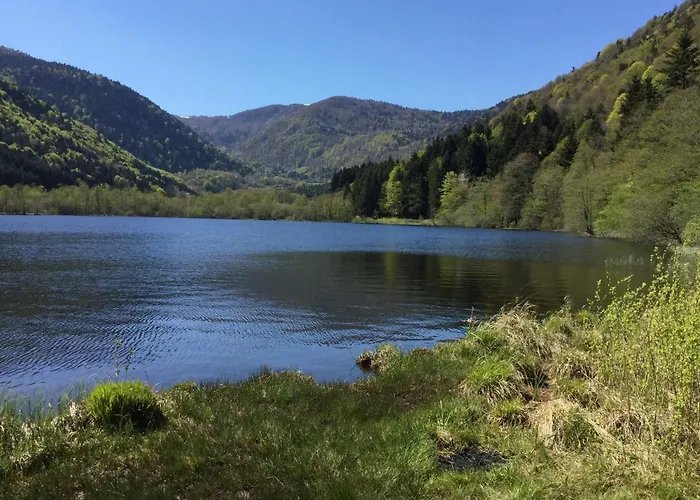 Leonline Sur Les Hauteurs De -au Pied Des Vosges Apartmán
