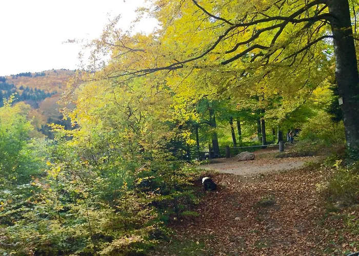 Apartment Leonline Sur Les Hauteurs De -au Pied Des Vosges *