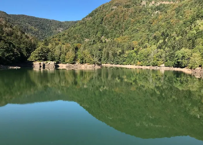 Apartment Leonline Sur Les Hauteurs De -au Pied Des Vosges *