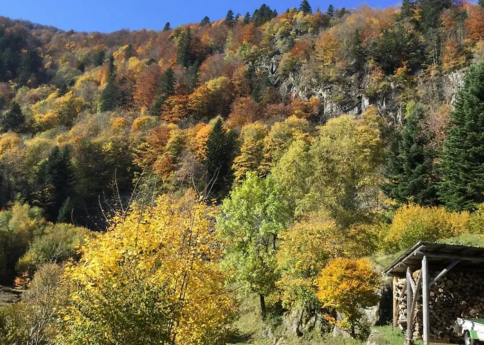 Leonline Sur Les Hauteurs De -au Pied Des Vosges *