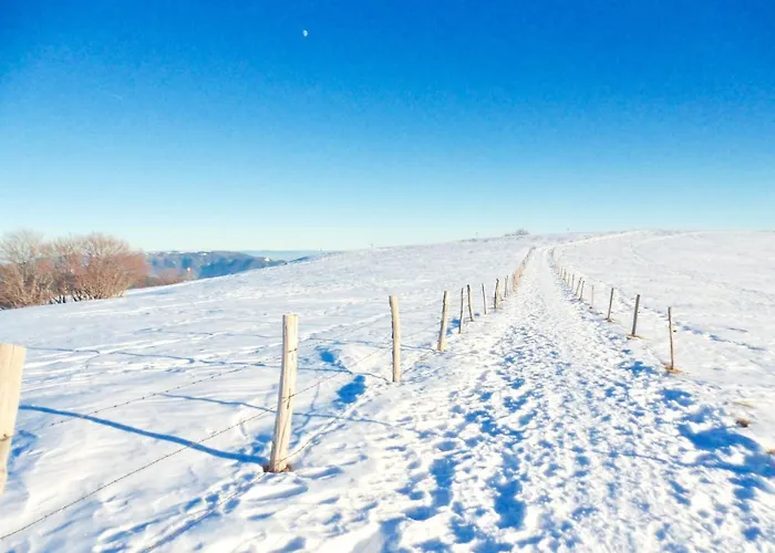 Leonline Sur Les Hauteurs De -au Pied Des Vosges Apartment *
