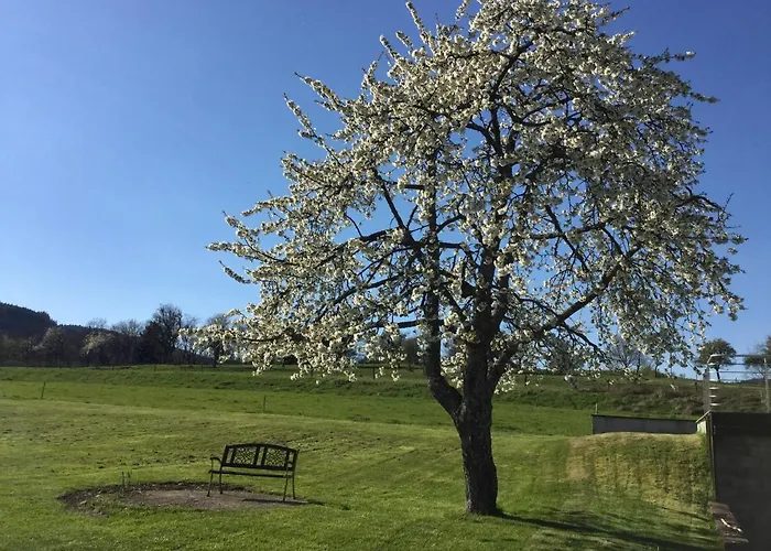 Apartment Leonline Sur Les Hauteurs De -au Pied Des Vosges *