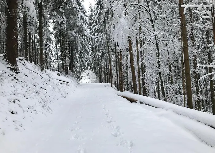 Leonline Sur Les Hauteurs De -au Pied Des Vosges