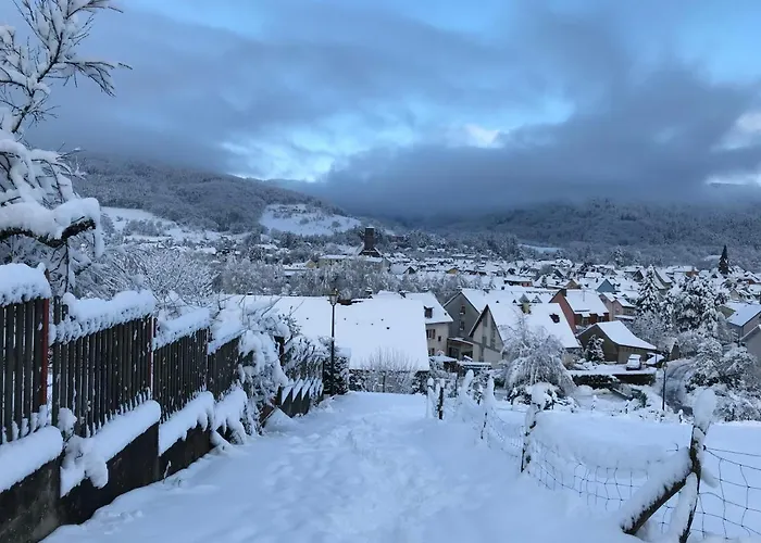 Leonline Sur Les Hauteurs De -au Pied Des Vosges Apartmán Masevaux-Niederbruck