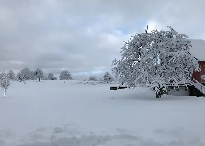 Leonline Sur Les Hauteurs De -au Pied Des Vosges * Masevaux-Niederbruck