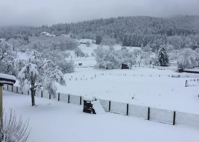 Apartment Leonline Sur Les Hauteurs De -au Pied Des Vosges Masevaux-Niederbruck