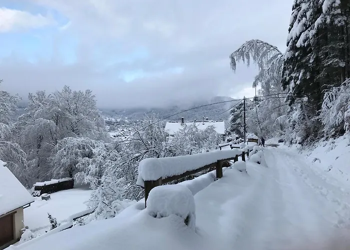 Apartment Leonline Sur Les Hauteurs De -au Pied Des Vosges *